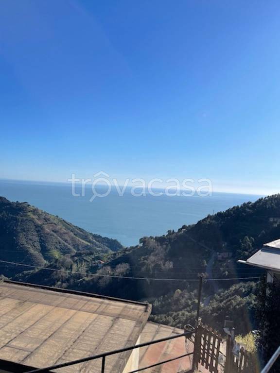 appartamento in vendita a Vernazza in zona Drignana