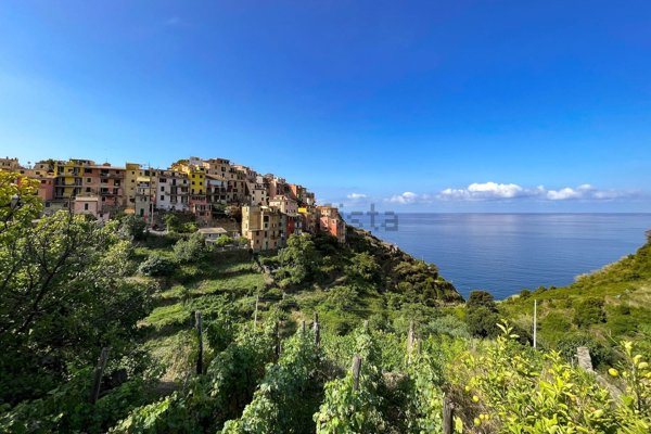 appartamento in vendita a Vernazza in zona Corniglia