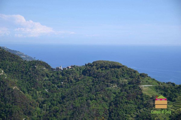 casa indipendente in vendita a Vernazza in zona Drignana