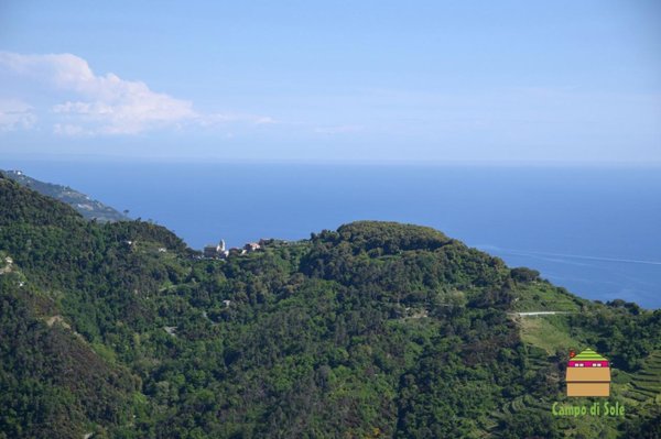 casa indipendente in vendita a Vernazza in zona Drignana