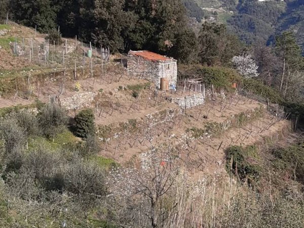appartamento in vendita a Vernazza in zona San Bernardino