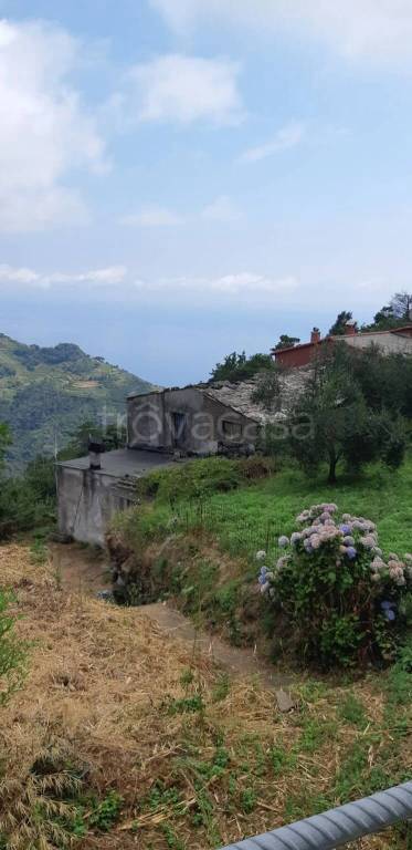 immagine annuncio 0 di 15