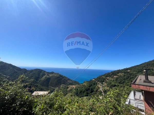 appartamento in vendita a Vernazza in zona Drignana