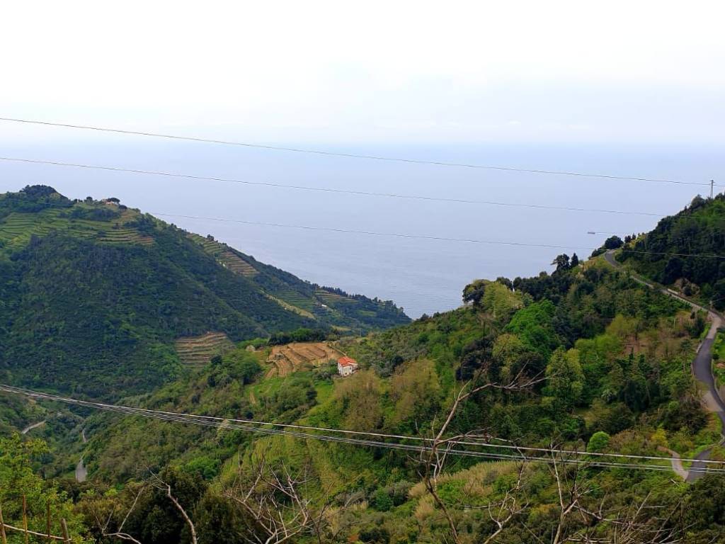 casa indipendente in vendita a Vernazza