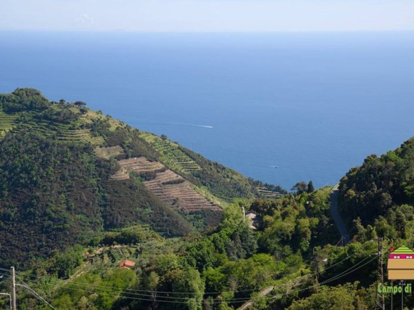 casa indipendente in vendita a Vernazza in zona Drignana
