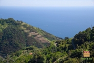casa indipendente in vendita a Vernazza in zona Drignana