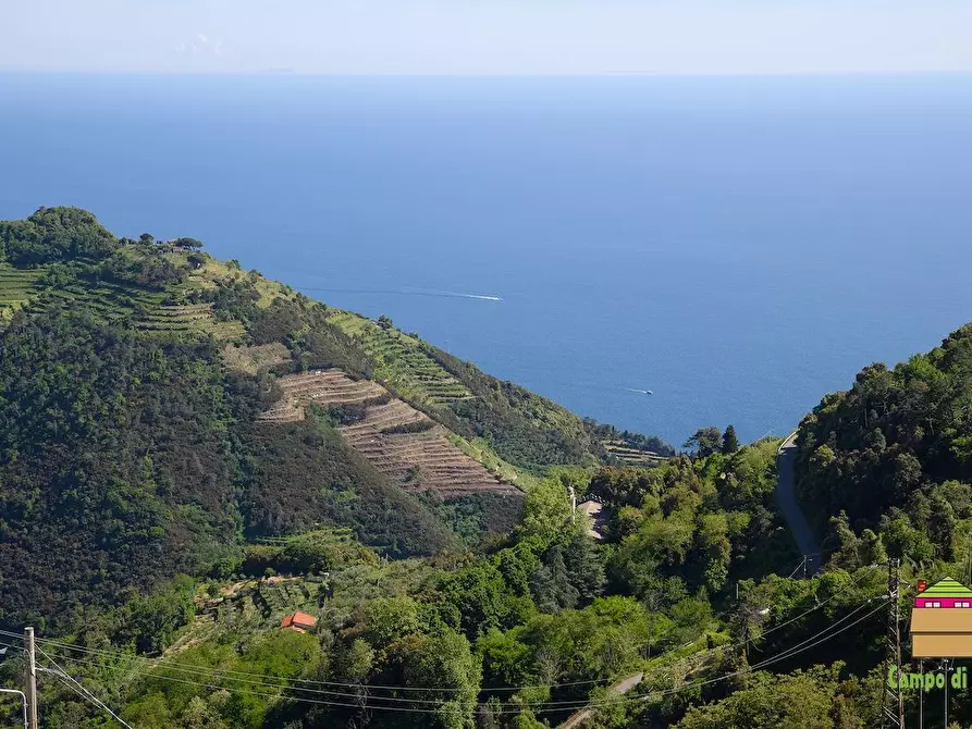 casa indipendente in vendita a Vernazza in zona Drignana