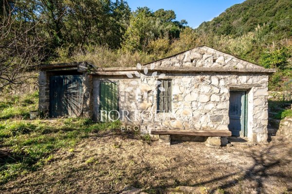 appartamento in vendita a Vernazza