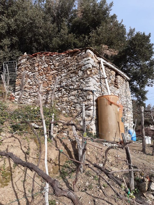 appartamento in vendita a Vernazza