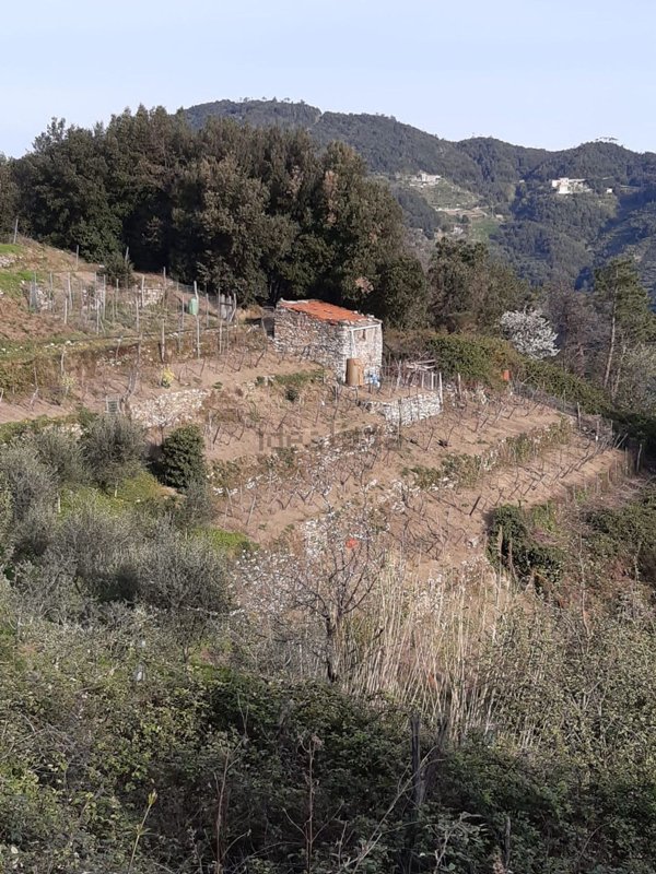 appartamento in vendita a Vernazza