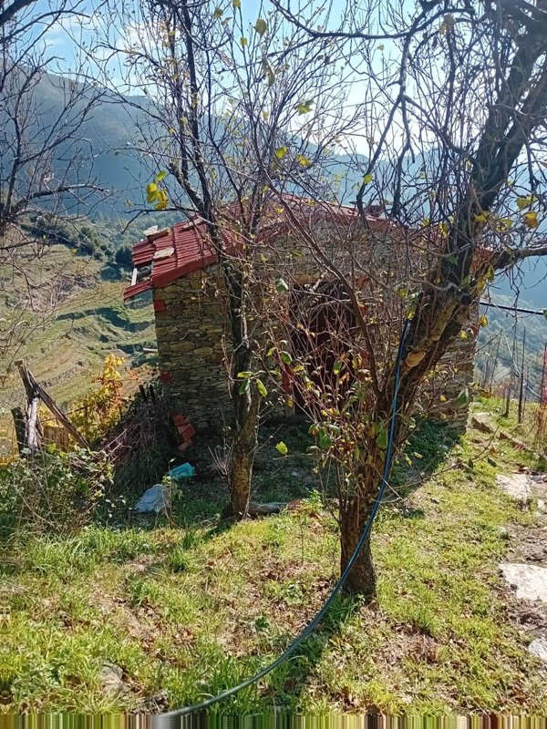 appartamento in vendita a Vernazza