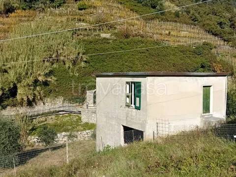 casa indipendente in vendita a Vernazza