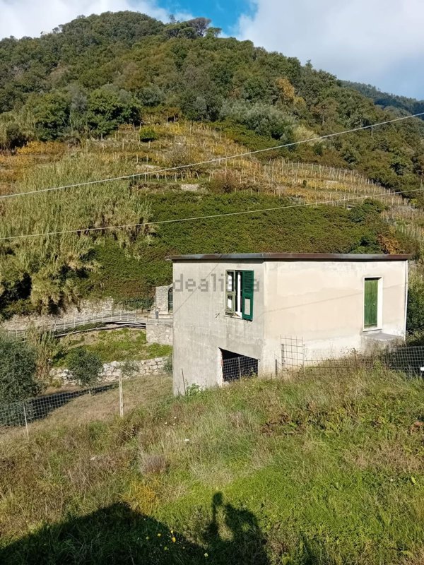 casa indipendente in vendita a Vernazza