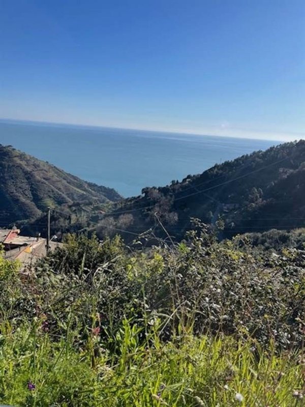 appartamento in vendita a Vernazza in zona Drignana