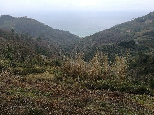 casale in vendita a Vernazza