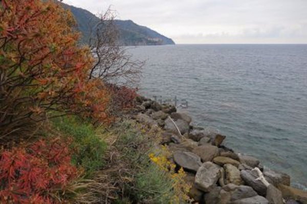 appartamento in vendita a Vernazza in zona Corniglia