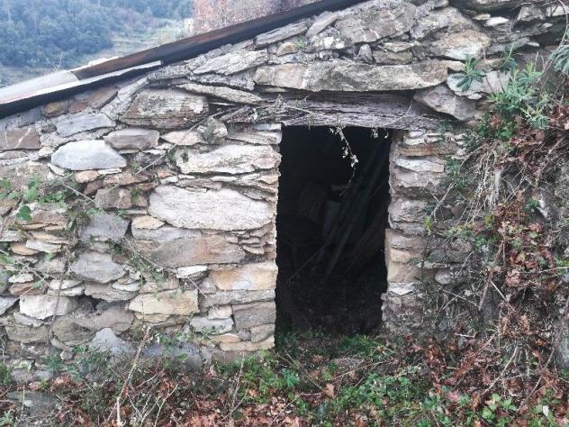 terreno agricolo in vendita a Vernazza