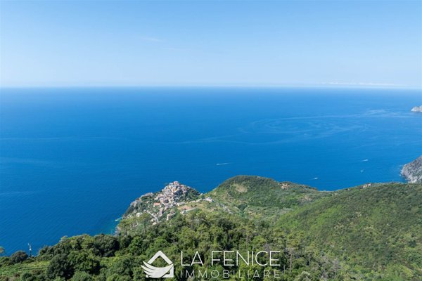 appartamento in vendita a Vernazza