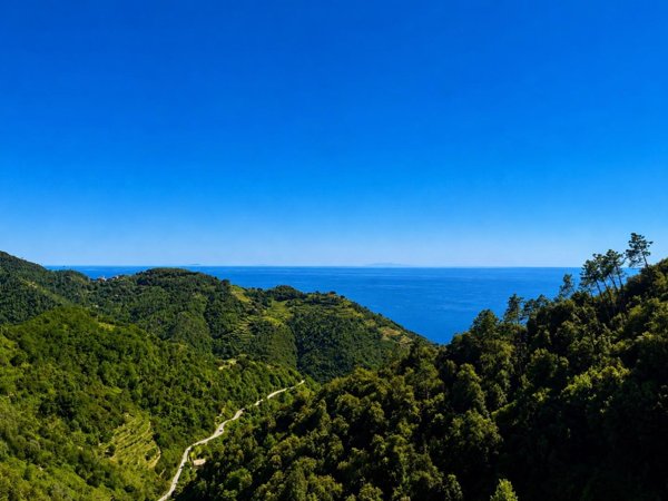 casa indipendente in vendita a Vernazza in zona Drignana