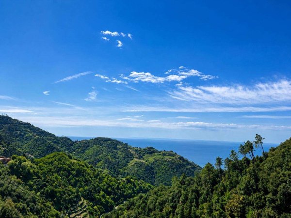 casa indipendente in vendita a Vernazza in zona Drignana