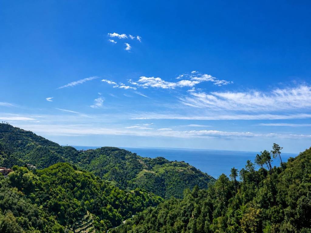 casa indipendente in vendita a Vernazza in zona Drignana