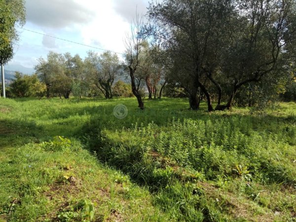 terreno agricolo in vendita a Vezzano Ligure