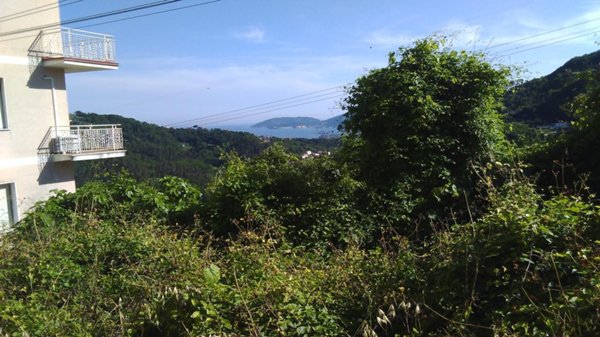 terreno agricolo in vendita a Vezzano Ligure