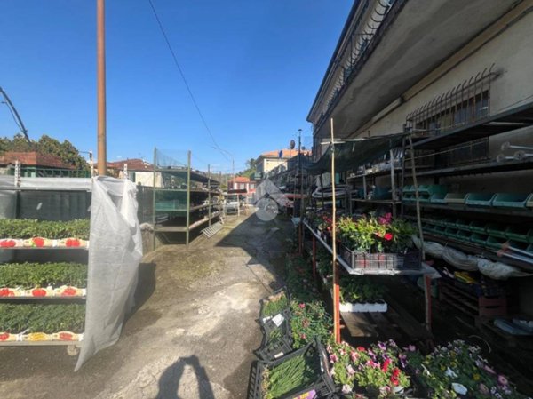 trivano in vendita a Vezzano Ligure