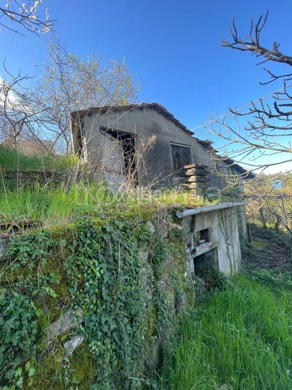 terreno agricolo in vendita a Vezzano Ligure