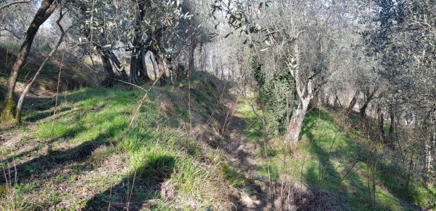 terreno agricolo in vendita a Vezzano Ligure