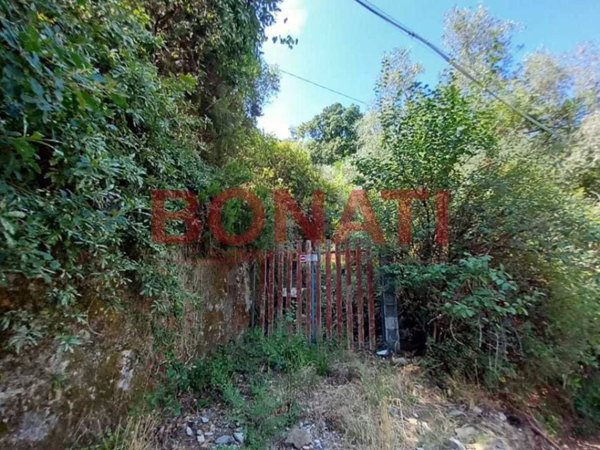 terreno agricolo in vendita a Vezzano Ligure
