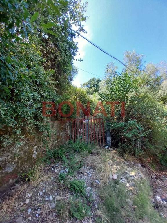 terreno agricolo in vendita a Vezzano Ligure