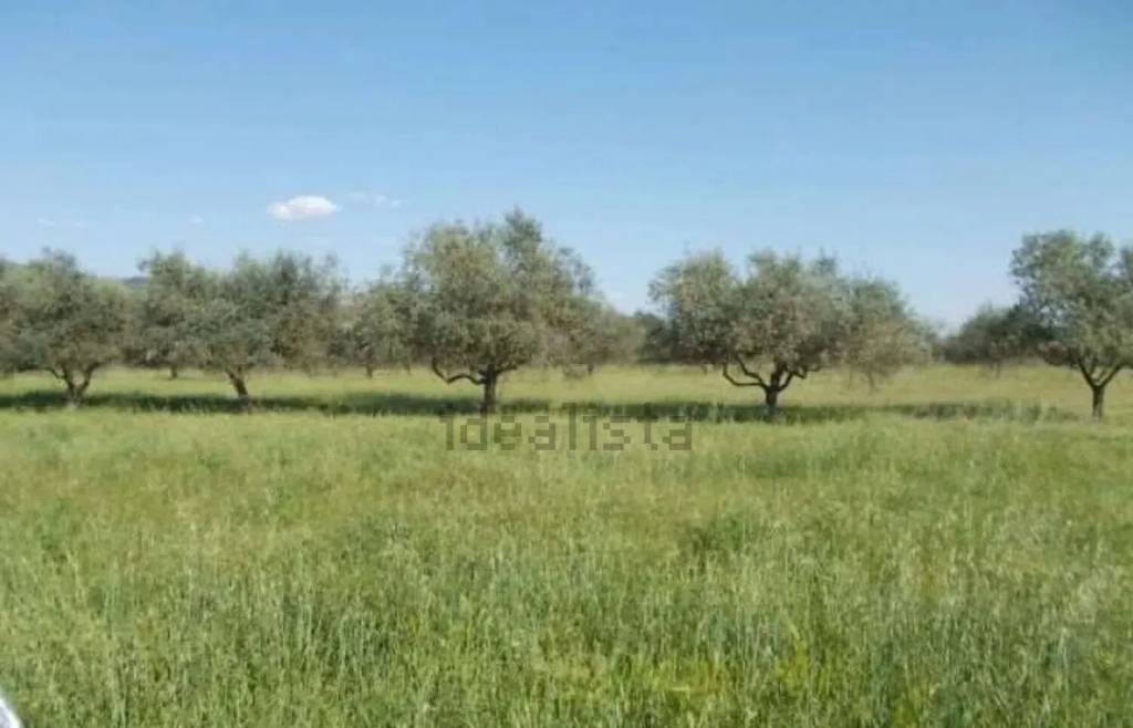 terreno agricolo in vendita a Vezzano Ligure