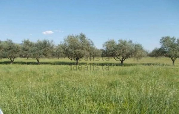 terreno agricolo in vendita a Vezzano Ligure