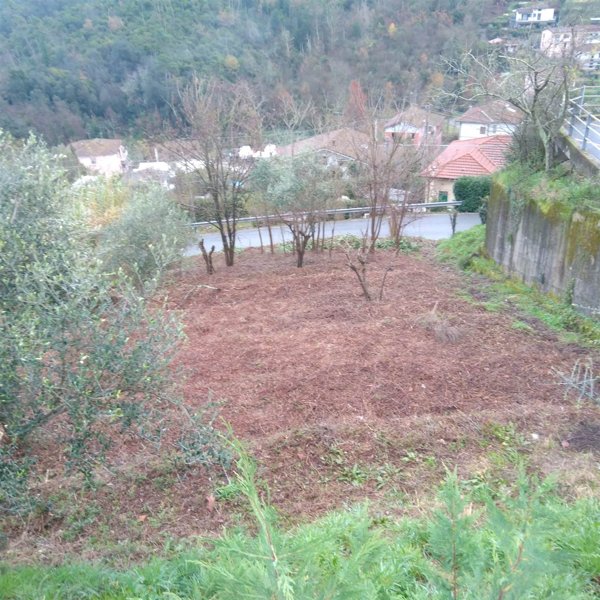 terreno agricolo in vendita a Vezzano Ligure in zona Valeriano