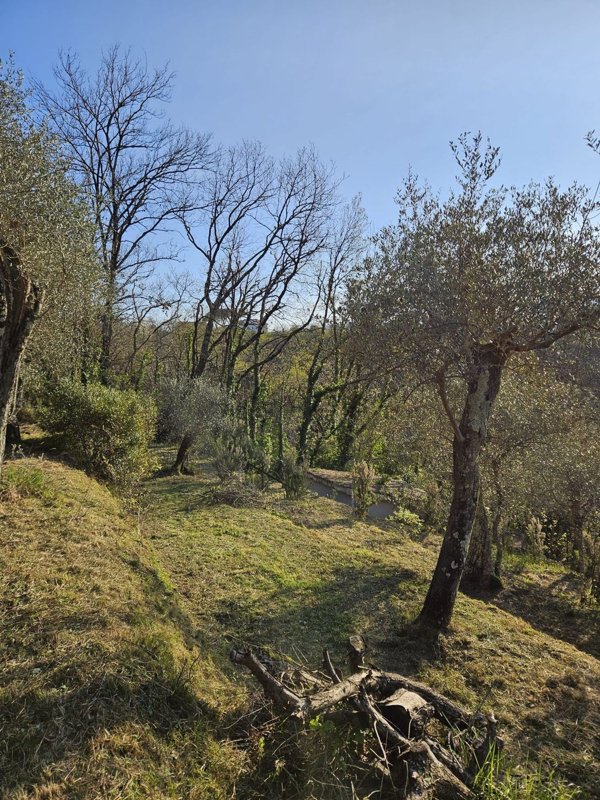 casa indipendente in vendita a Vezzano Ligure