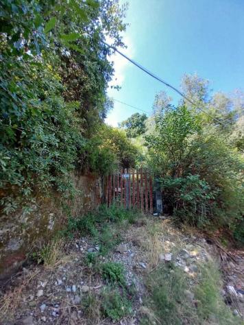 terreno agricolo in vendita a Vezzano Ligure