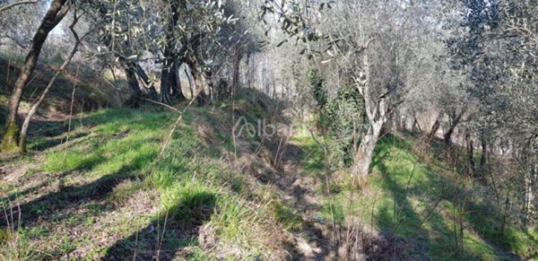 terreno edificabile in vendita a Vezzano Ligure in zona Valeriano