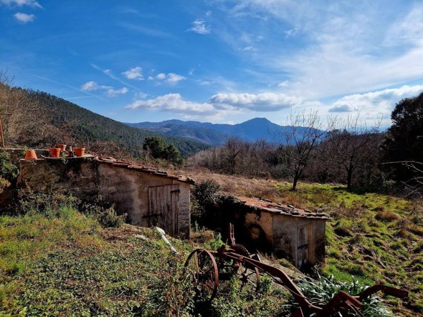 casa indipendente in vendita a Zignago