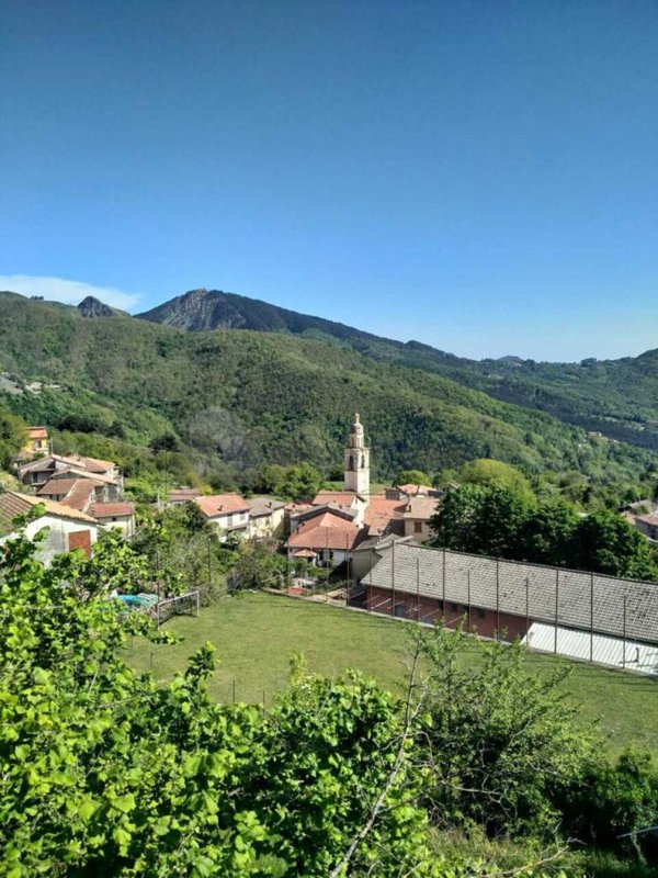 pentavano in vendita a Zignago in zona Torpiana