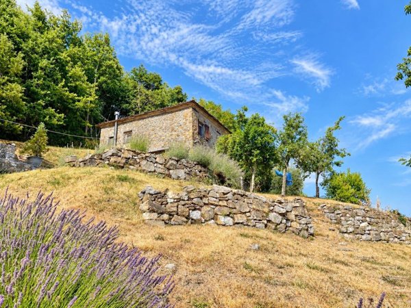 casa indipendente in vendita a Zignago