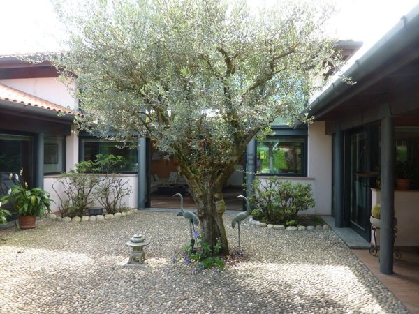 casa indipendente in vendita ad Arsago Seprio