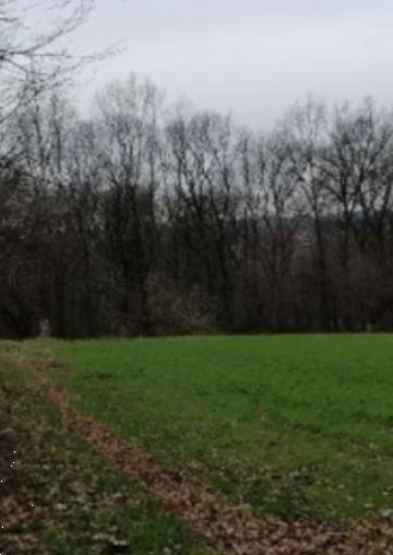 terreno agricolo in vendita ad Azzate