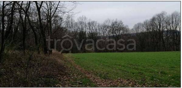 terreno agricolo in vendita ad Azzate