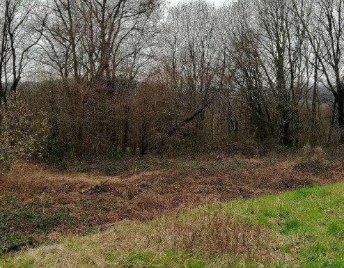 terreno agricolo in vendita ad Azzate