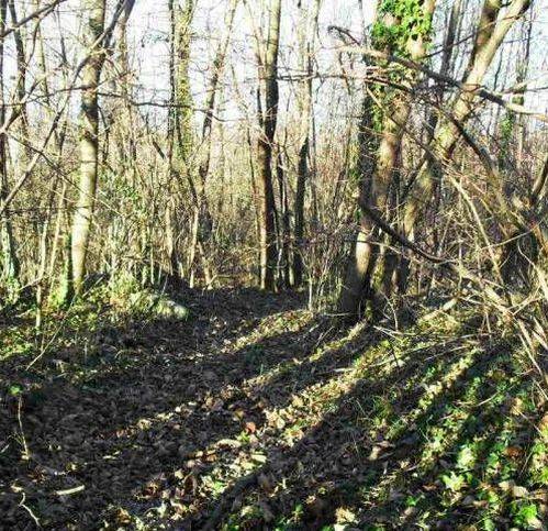 terreno agricolo in vendita ad Azzate in zona Castello