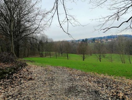 terreno agricolo in vendita ad Azzate in zona Castello
