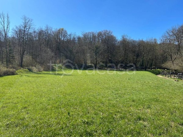 terreno agricolo in vendita a Bedero Valcuvia