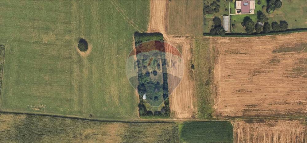 terreno agricolo in vendita a Besano
