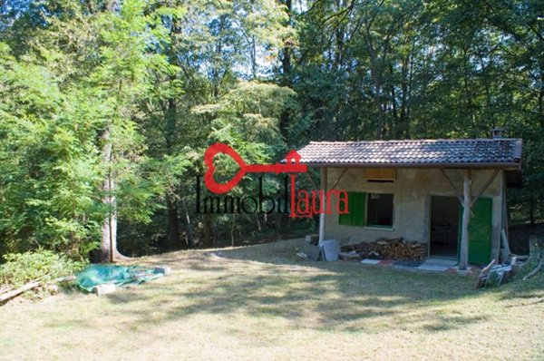 terreno agricolo in vendita a Besano